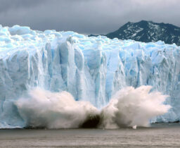 Fuencisla Clemares: “Big Data y la IA nos ayudarán a resolver grandes problemas como el cambio climático”